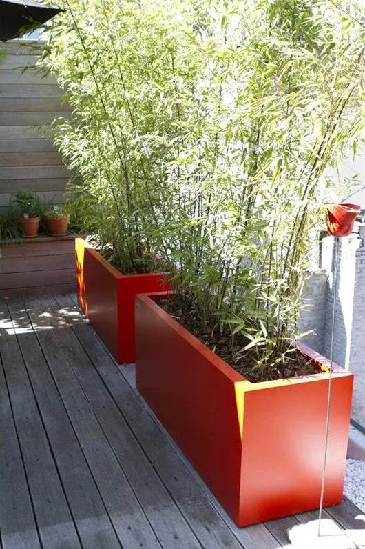 Houten terras met hoge rode plantenbakken vol bamboe