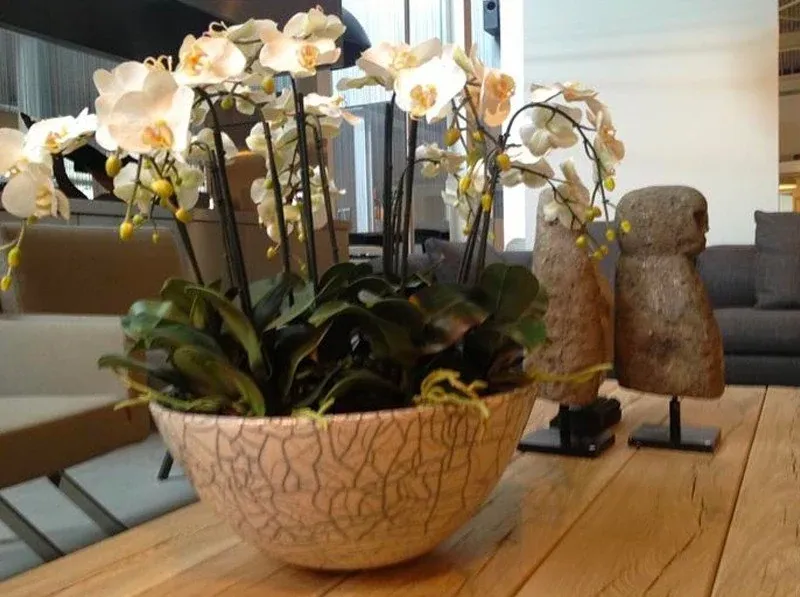 Witte orchideeën in een gecraqueleerde keramische schaal op een eikenhouten tafel