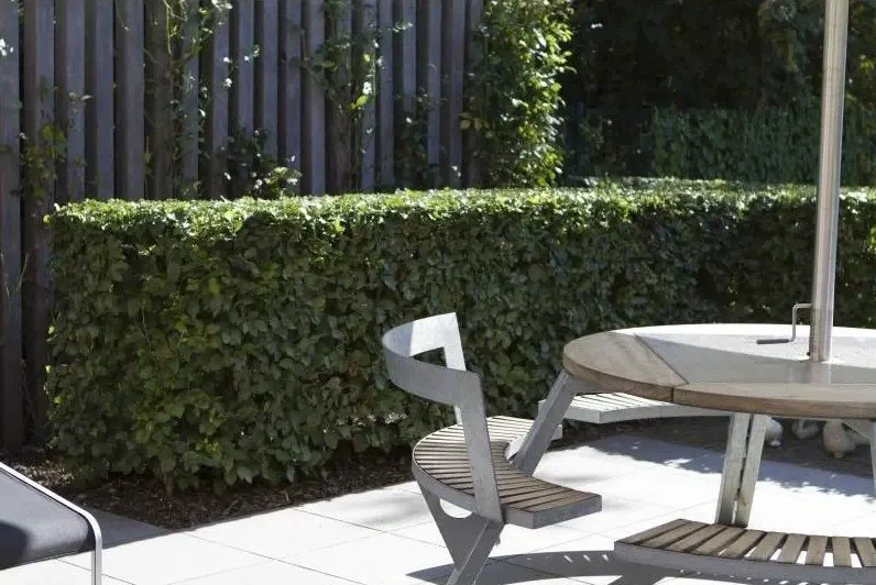 Ronde tuintafel voor een strak gesnoeide haag en een donkere schutting
