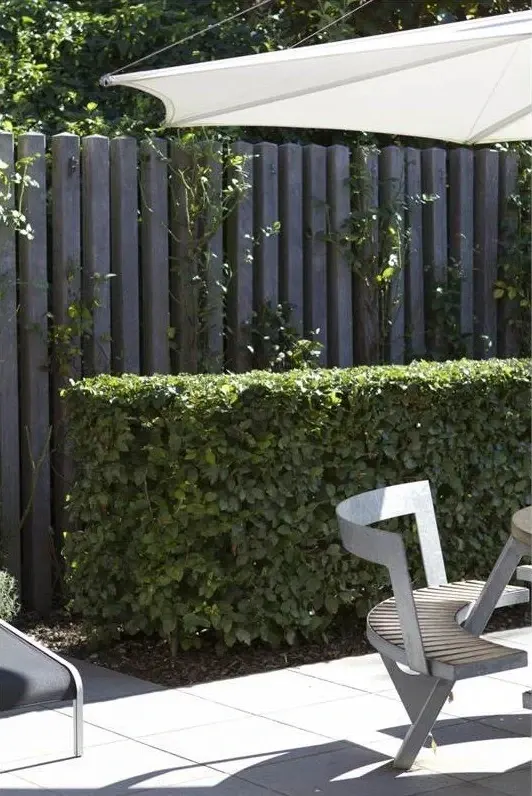 Zitplek tegen een groene haag met een donkere houten schutting