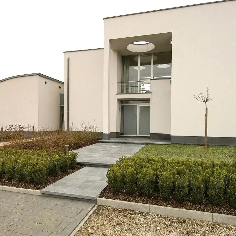 Pad van blauwe hardsteen tussen buxushagen naar een moderne woning