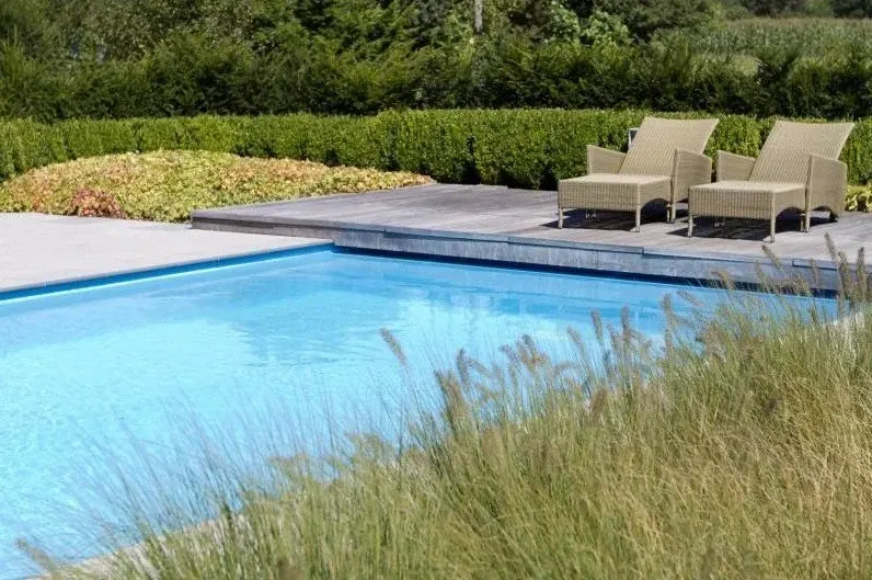 Zwembad met ligbedden, omringd door siergrassen en hagen