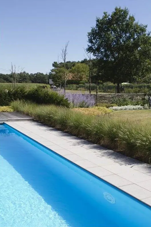 Langwerpig zwembad met een strook siergrassen en lavendel